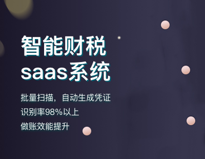AI智能财税SaaS（智能体）